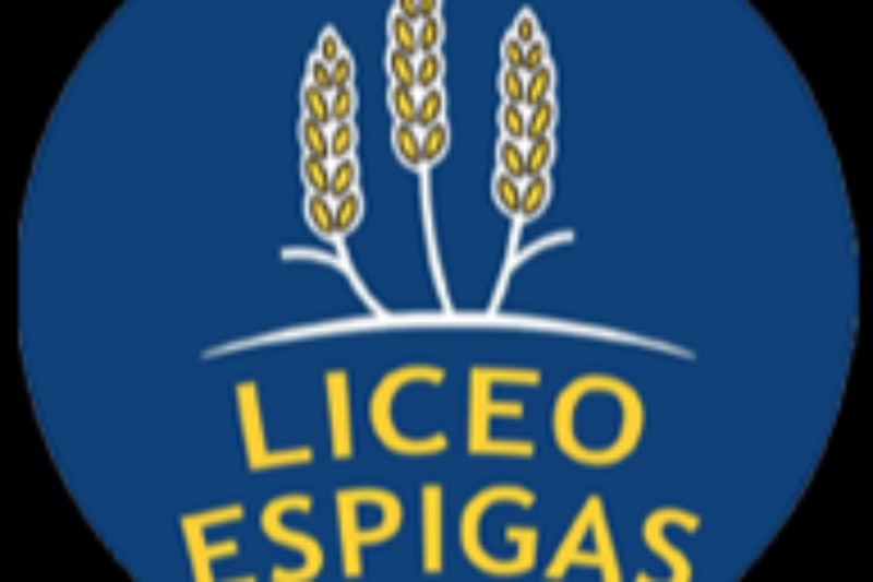 imagen-experiencia