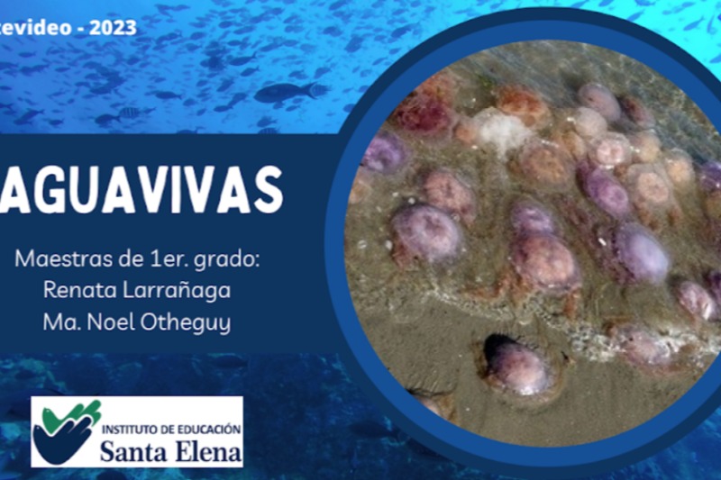 imagen-experiencia