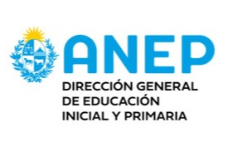 imagen-experiencia