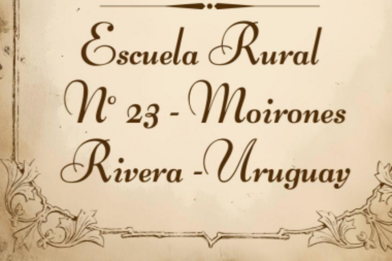 imagen-experiencia